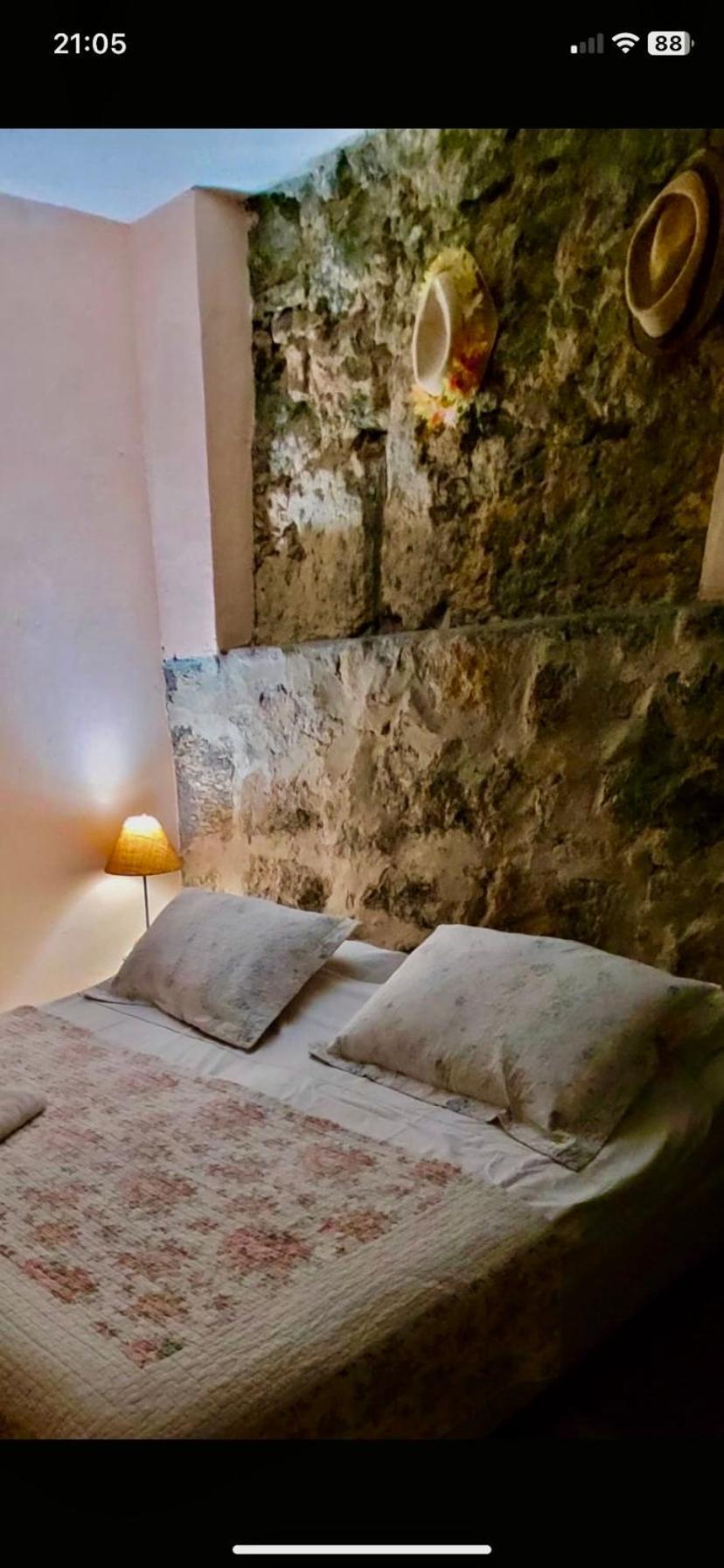 Отель Casa Da Carmen E Do Fernando Рио-де-Жанейро Экстерьер фото